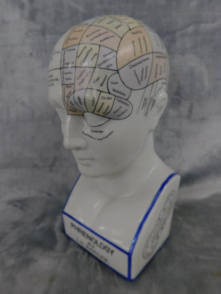 Phrenology Head / Bust - Color - By L.n. Fowler - 12" x 5.5" x 4.25" - 13
