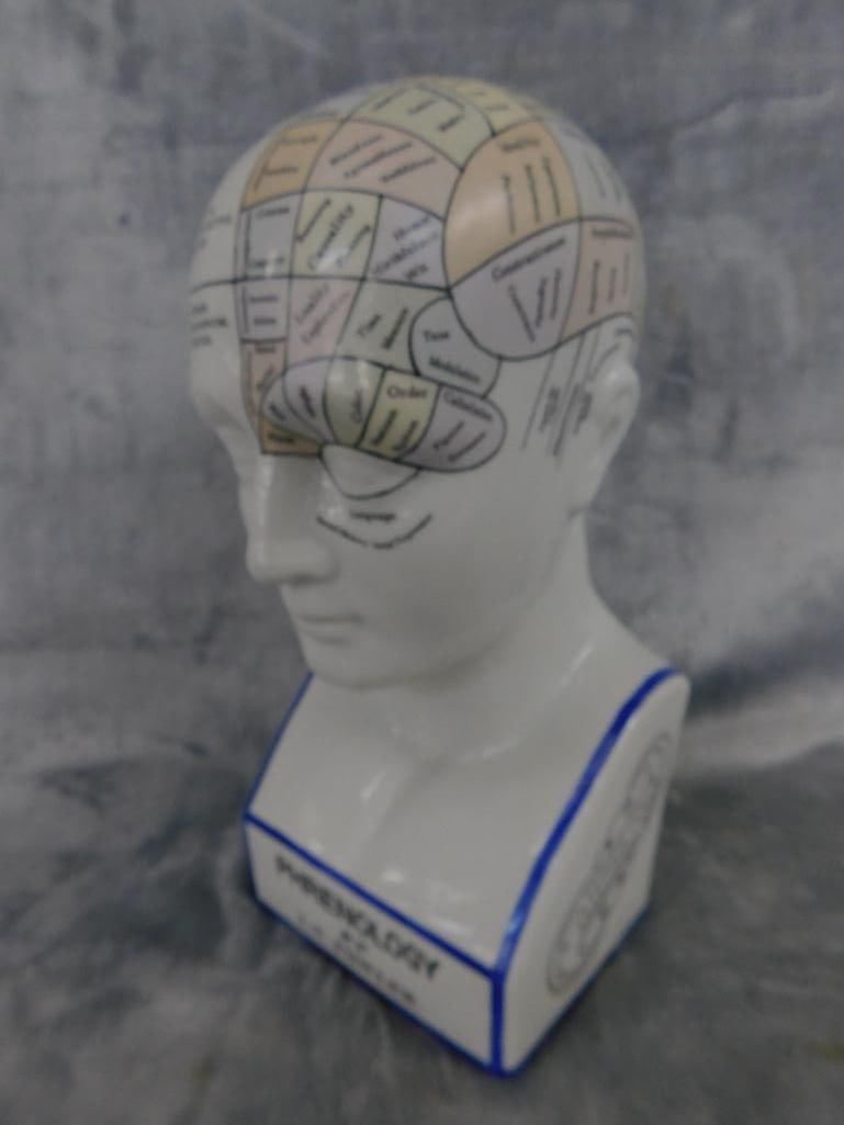 Phrenology Head / Bust - Color - By L.n. Fowler - 12" x 5.5" x 4.25" - 14