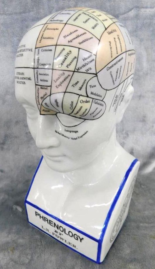 Phrenology Head / Bust - Color - By L.n. Fowler - 12" x 5.5" x 4.25": See Photos For Condition and Details