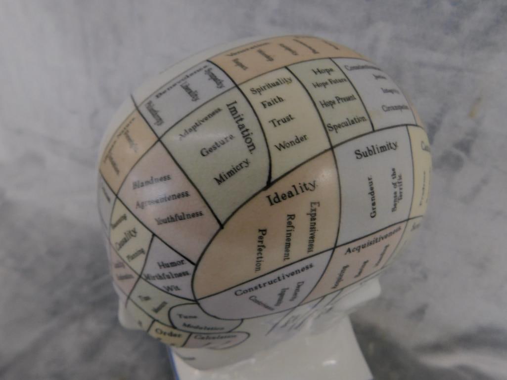 Phrenology Head / Bust - Color - By L.n. Fowler - 12" x 5.5" x 4.25" - 2