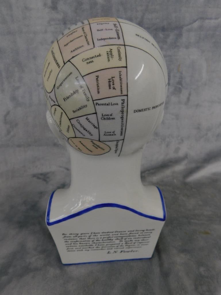 Phrenology Head / Bust - Color - By L.n. Fowler - 12" x 5.5" x 4.25" - 6