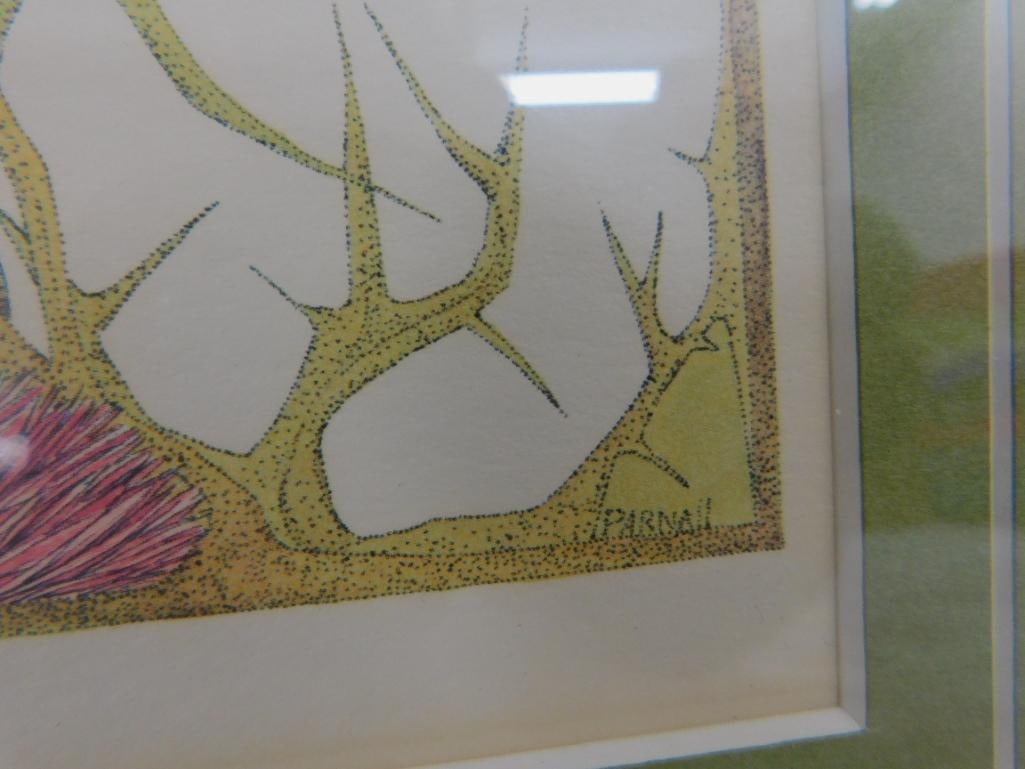 Framed Lithograph - Signed Peter Parnall - Limited Edition 415/1000 - 17.5" x 17.5" - 6