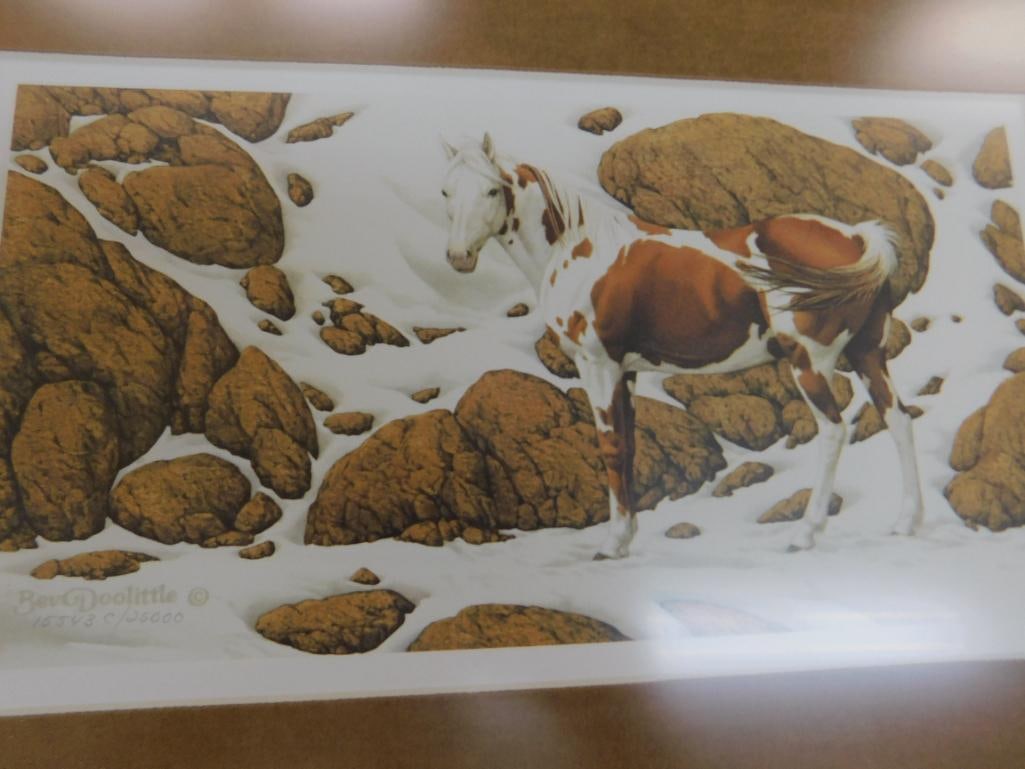 Bev Doolittle - "Hide and Seek" Series Prints - Matted and Framed - Book - VHS Tape - 11