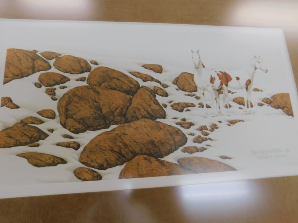 Bev Doolittle - "Hide and Seek" Series Prints - Matted and Framed - Book - VHS Tape - 13