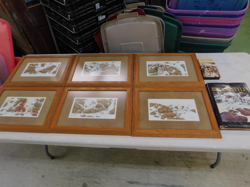 Bev Doolittle - "Hide and Seek" Series Prints - Matted and Framed - Book - VHS Tape - 17