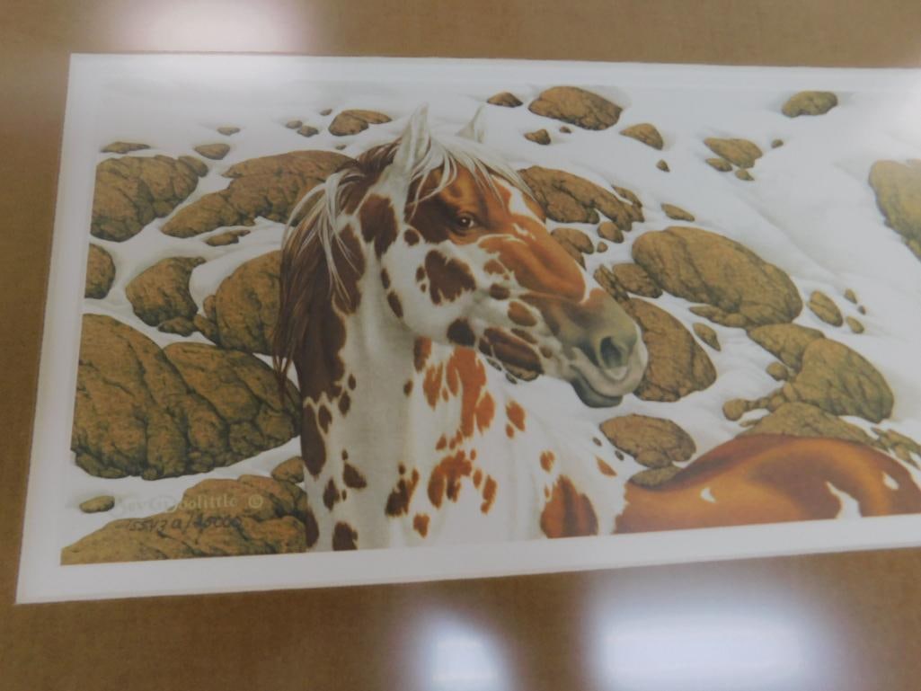 Bev Doolittle - "Hide and Seek" Series Prints - Matted and Framed - Book - VHS Tape - 7