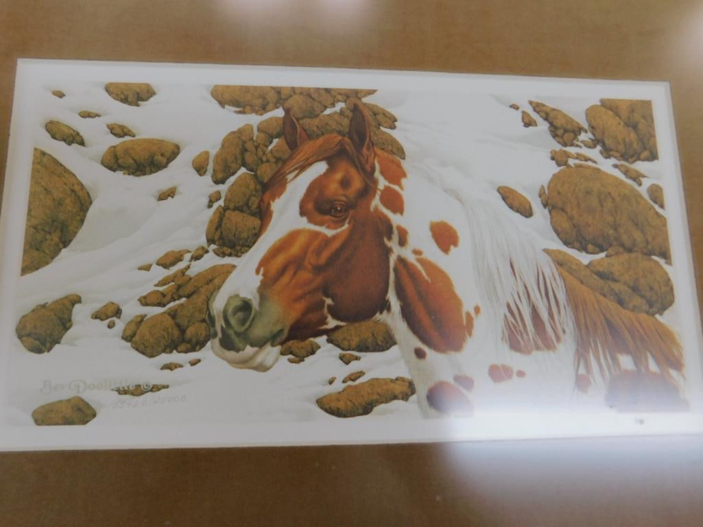 Bev Doolittle - "Hide and Seek" Series Prints - Matted and Framed - Book - VHS Tape - 9