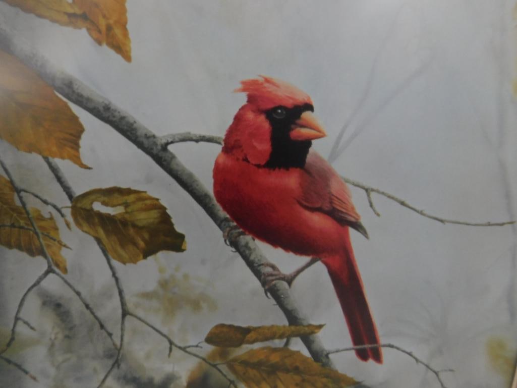 Jean Vietor Signed - Lithograph Print - Limited Edition 190/1000 - "Cardinal" - 27.5" x 22.5" - 4