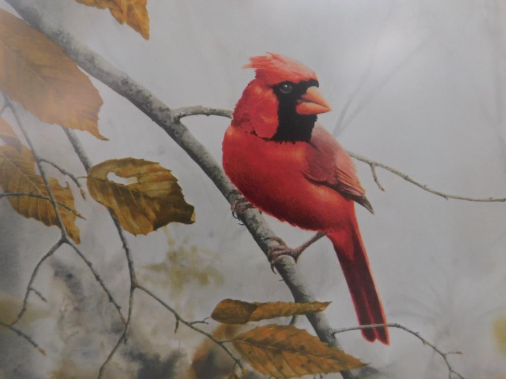 Jean Vietor Signed - Lithograph Print - Limited Edition 190/1000 - "Cardinal" - 27.5" x 22.5" - 9