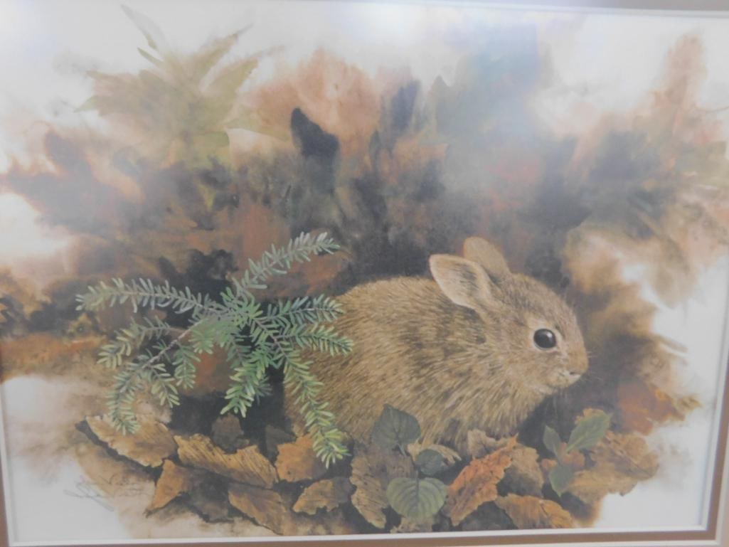 Jean Vietor Signed - Lithograph Print - "Fluff and Stuff" - 18" x 21.5" - 2