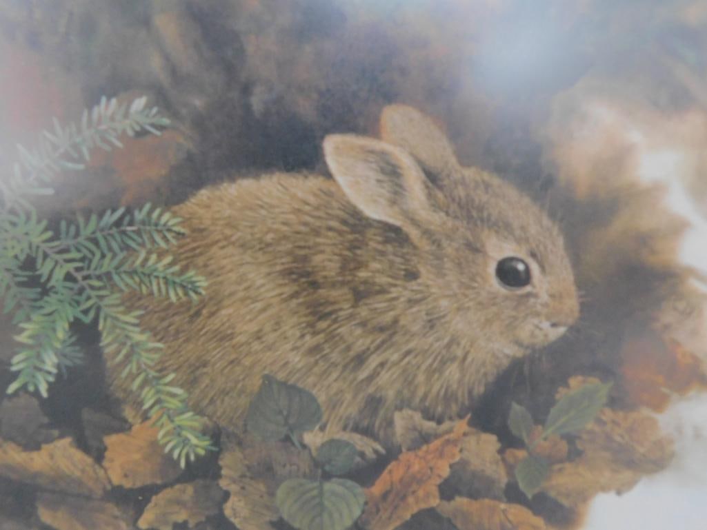 Jean Vietor Signed - Lithograph Print - "Fluff and Stuff" - 18" x 21.5" - 3