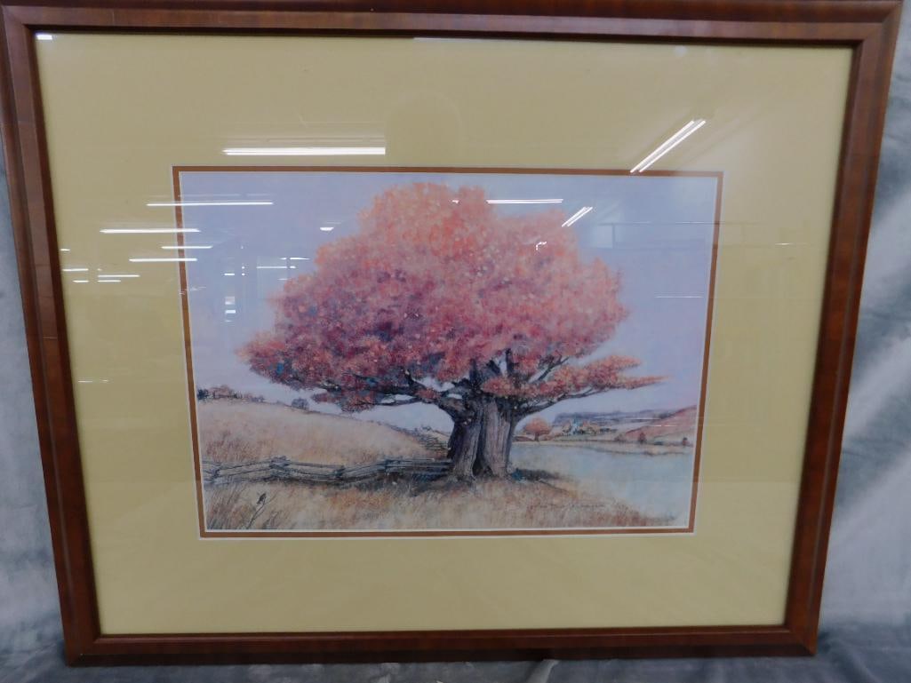 Bob Holloway - Limited Edition Print 137/900- "The Witness Tree" - 23.5" x 28.5" - 10