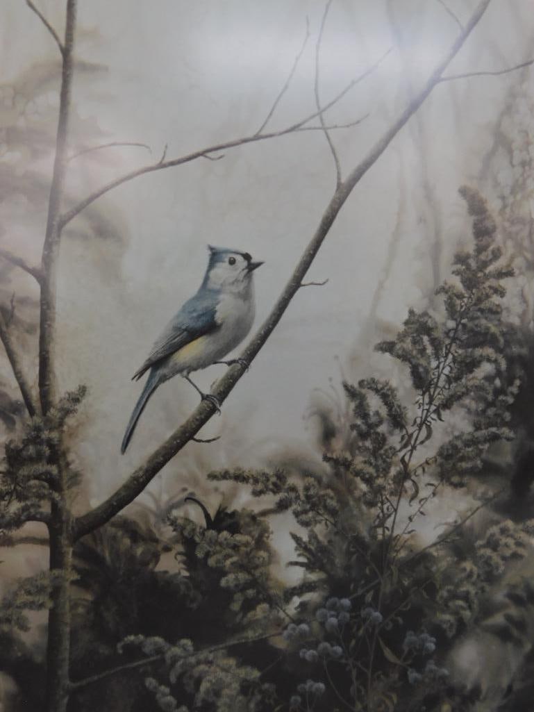 Jean Vietor Signed - Lithograph Print - "Tuft Titmouse" - 27.5" x 22.5" - 2