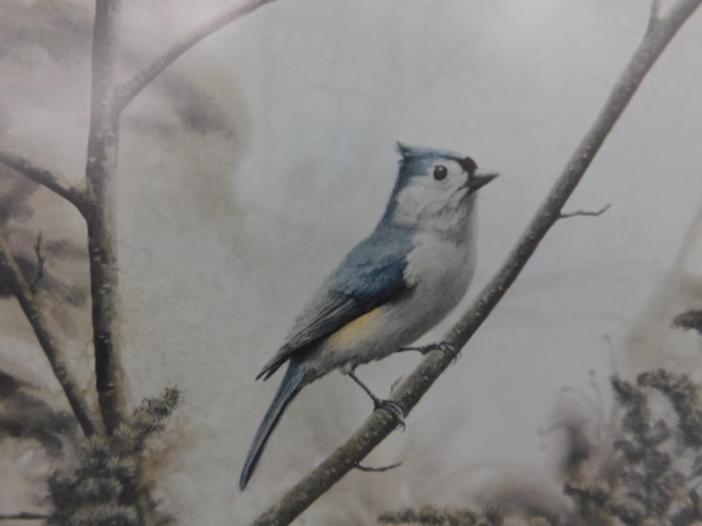 Jean Vietor Signed - Lithograph Print - "Tuft Titmouse" - 27.5" x 22.5" - 3