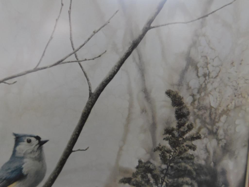 Jean Vietor Signed - Lithograph Print - "Tuft Titmouse" - 27.5" x 22.5" - 5