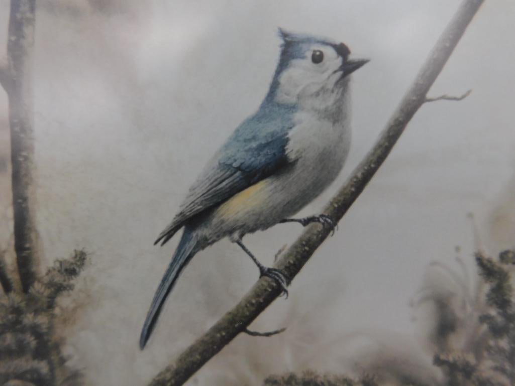 Jean Vietor Signed - Lithograph Print - "Tuft Titmouse" - 27.5" x 22.5" - 6