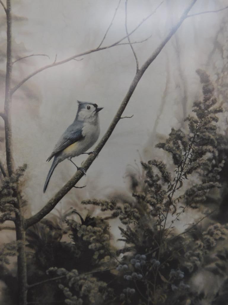 Jean Vietor Signed - Lithograph Print - "Tuft Titmouse" - 27.5" x 22.5" - 9