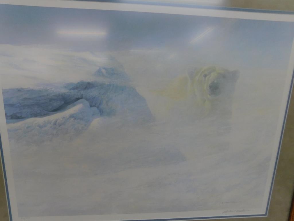 Robert Bateman Signed - 1980 Lithograph Print - "White Encounter" - Limited Edition 778/950 - 2