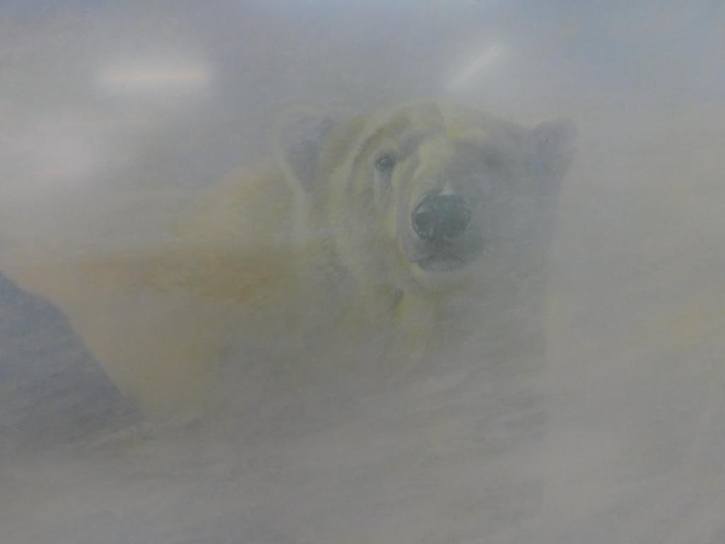 Robert Bateman Signed - 1980 Lithograph Print - "White Encounter" - Limited Edition 778/950 - 3