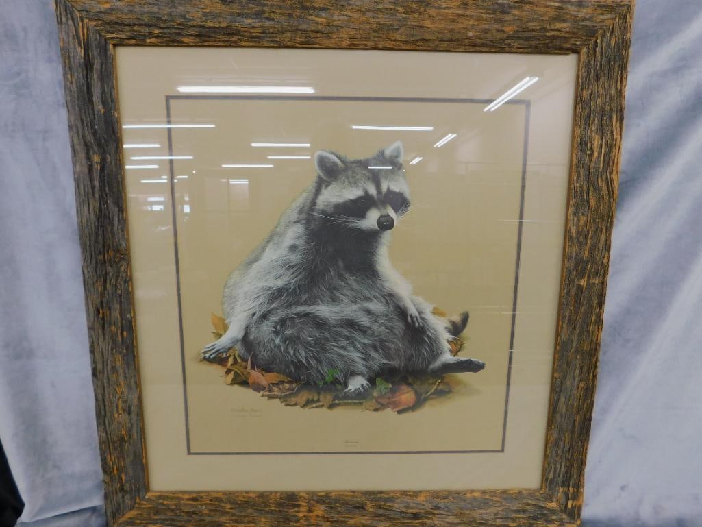 Charles Frace - "Raccoon" - Signed Print - 34" x 33" - 11