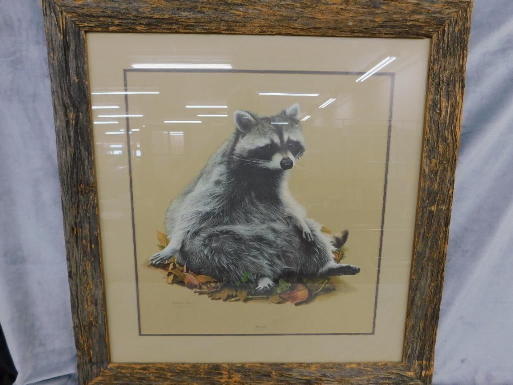 Charles Frace - "Raccoon" - Signed Print - 34" x 33" - 12