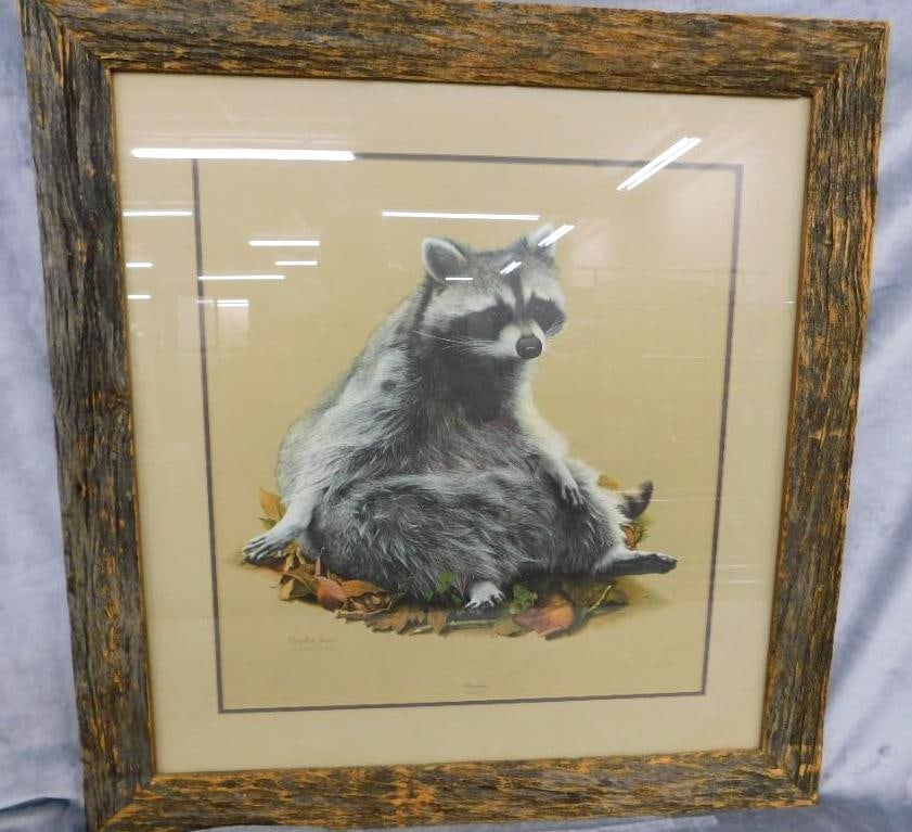 Charles Frace - "Raccoon" - Signed Print - 34" x 33": See Photos For Condition and Details
