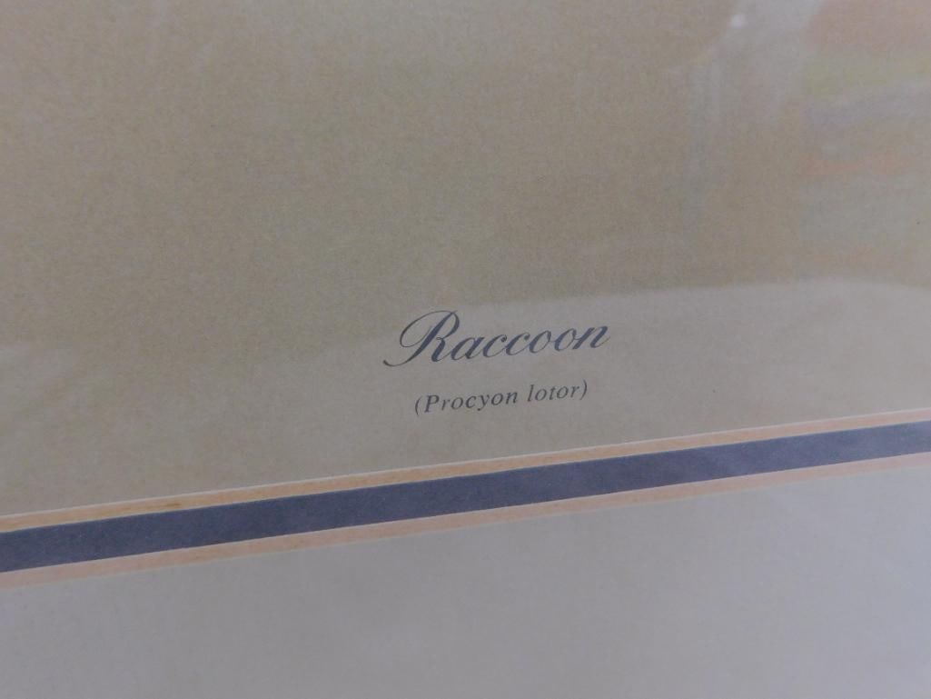 Charles Frace - "Raccoon" - Signed Print - 34" x 33" - 7