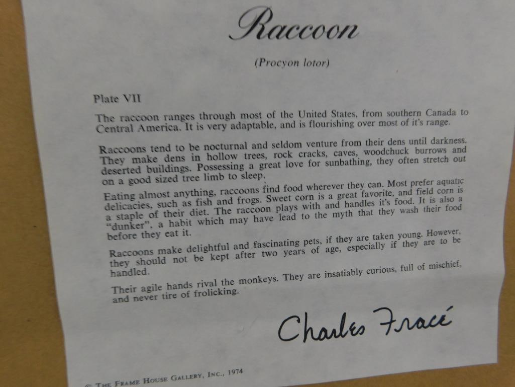 Charles Frace - "Raccoon" - Signed Print - 34" x 33" - 9