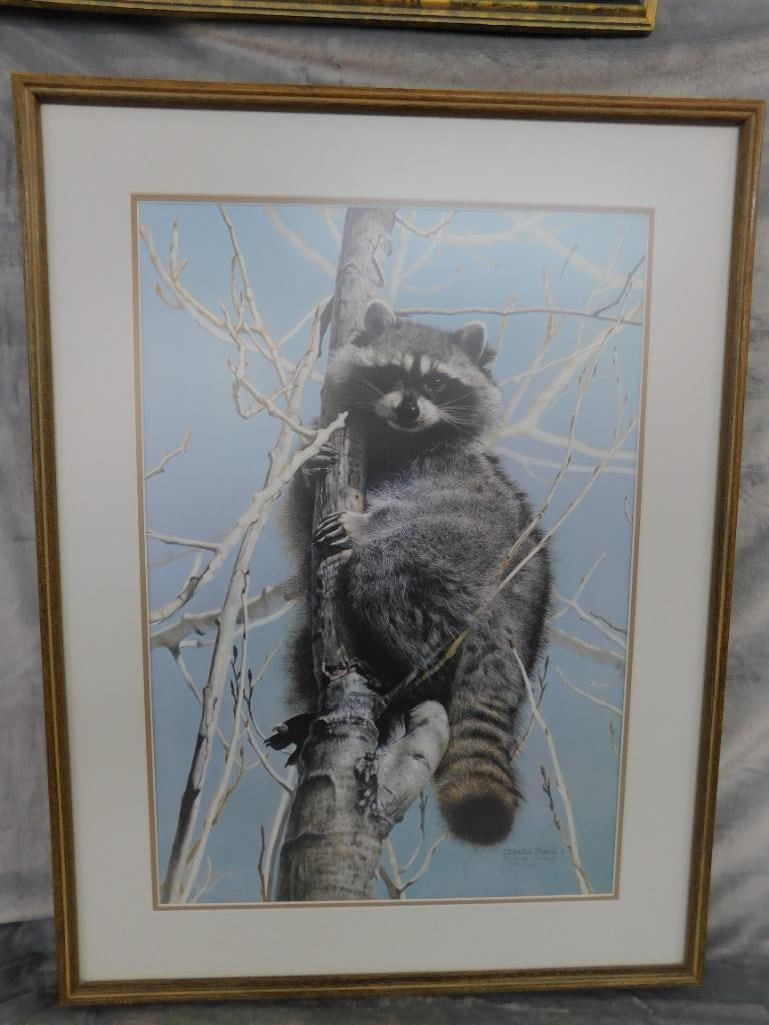 Charles Frace - "Bandit" - Limited Edition Signed Print 4451/6431 - 34" x 26" - 11