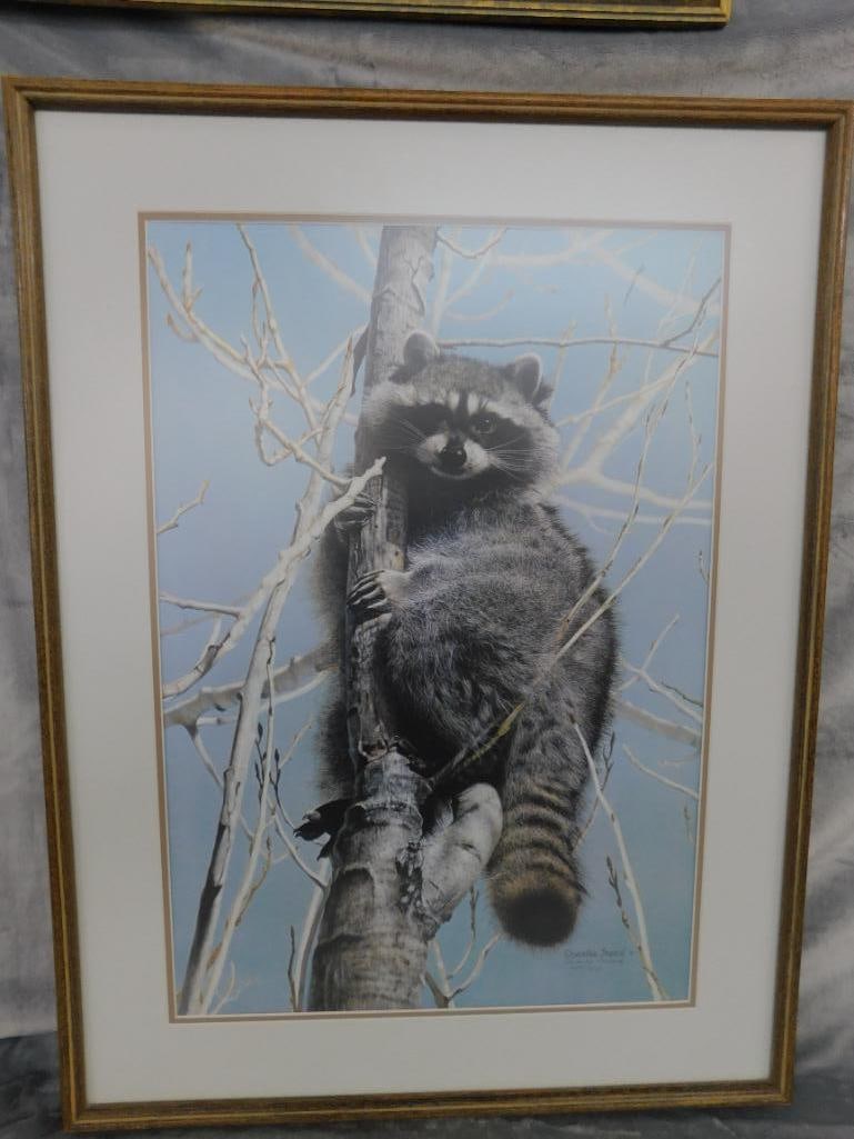 Charles Frace - "Bandit" - Limited Edition Signed Print 4451/6431 - 34" x 26" - 12
