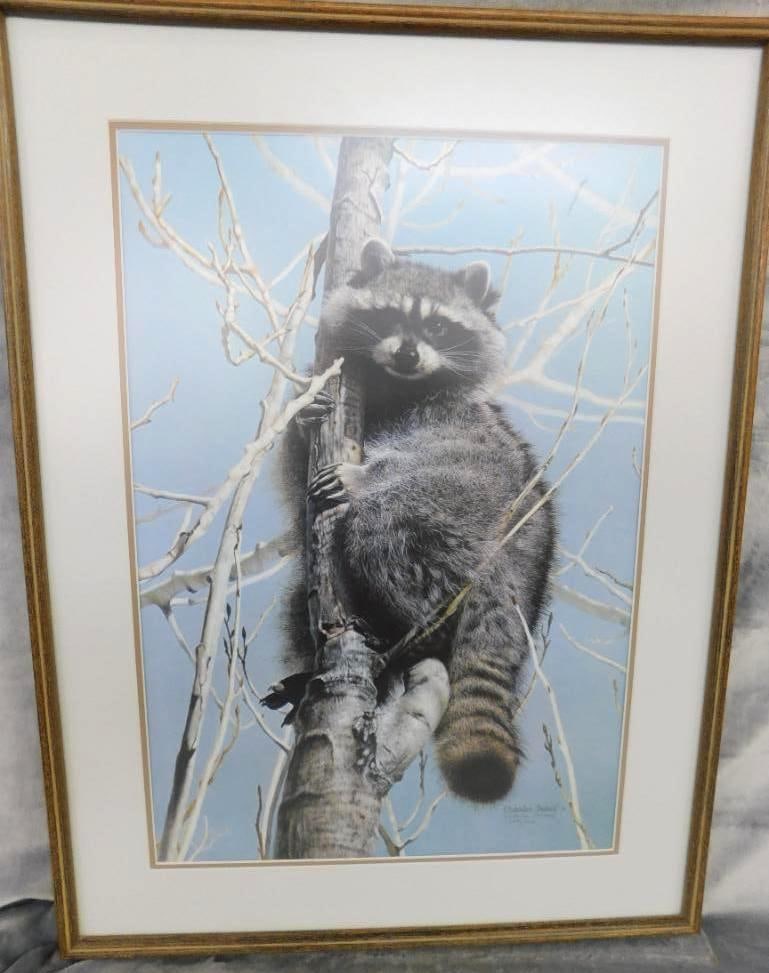 Charles Frace - "Bandit" - Limited Edition Signed Print 4451/6431 - 34" x 26": See Photos For Condition and Details
