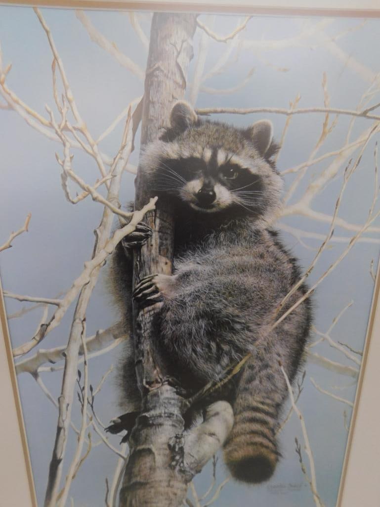 Charles Frace - "Bandit" - Limited Edition Signed Print 4451/6431 - 34" x 26" - 2