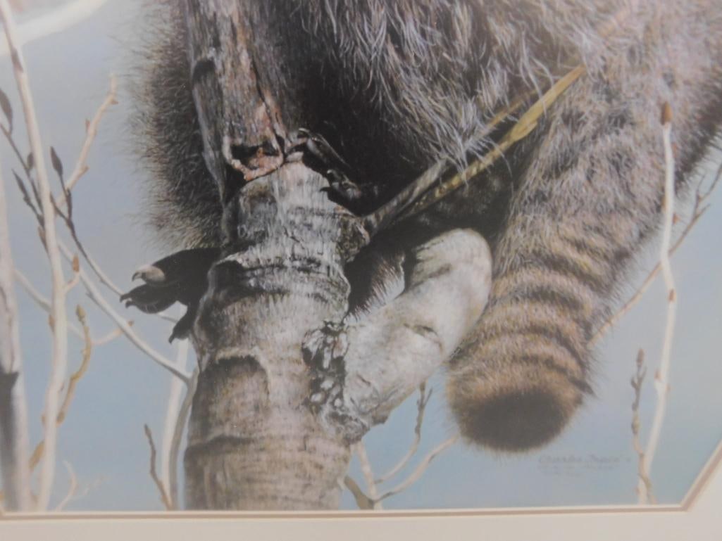Charles Frace - "Bandit" - Limited Edition Signed Print 4451/6431 - 34" x 26" - 6