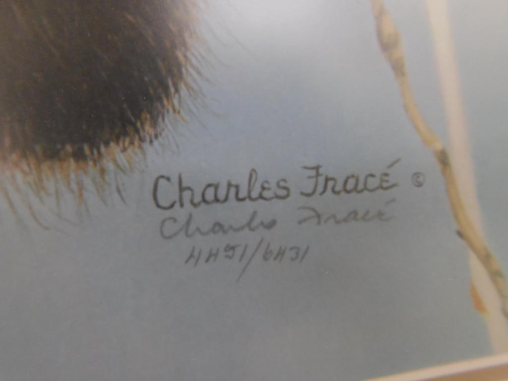 Charles Frace - "Bandit" - Limited Edition Signed Print 4451/6431 - 34" x 26" - 7
