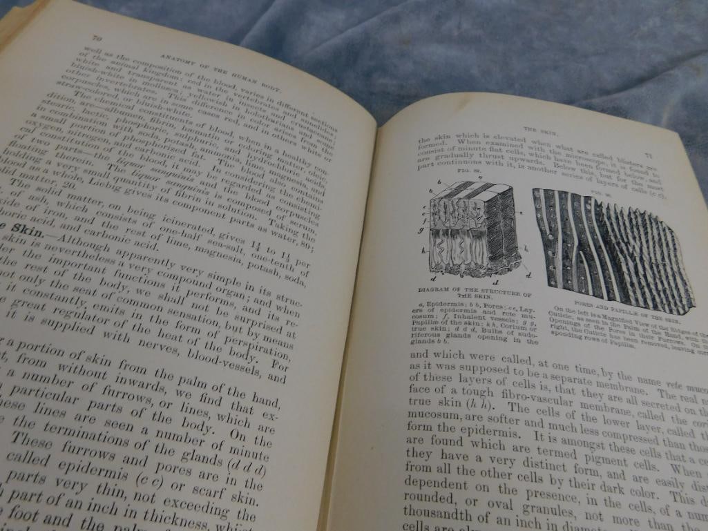 1895 "The Cottage Physician" - Binding In Rough Shape - 5