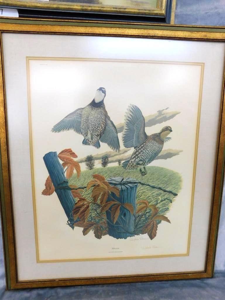 Signed Print - Richard Sloan - "Bobwhite" - 37" x 31.5": See Photos For Condition and Details