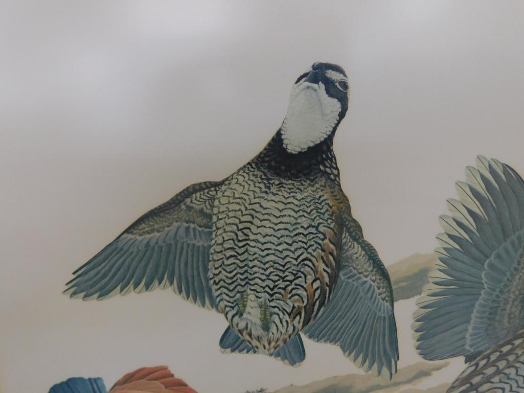 Signed Print - Richard Sloan - "Bobwhite" - 37" x 31.5" - 3