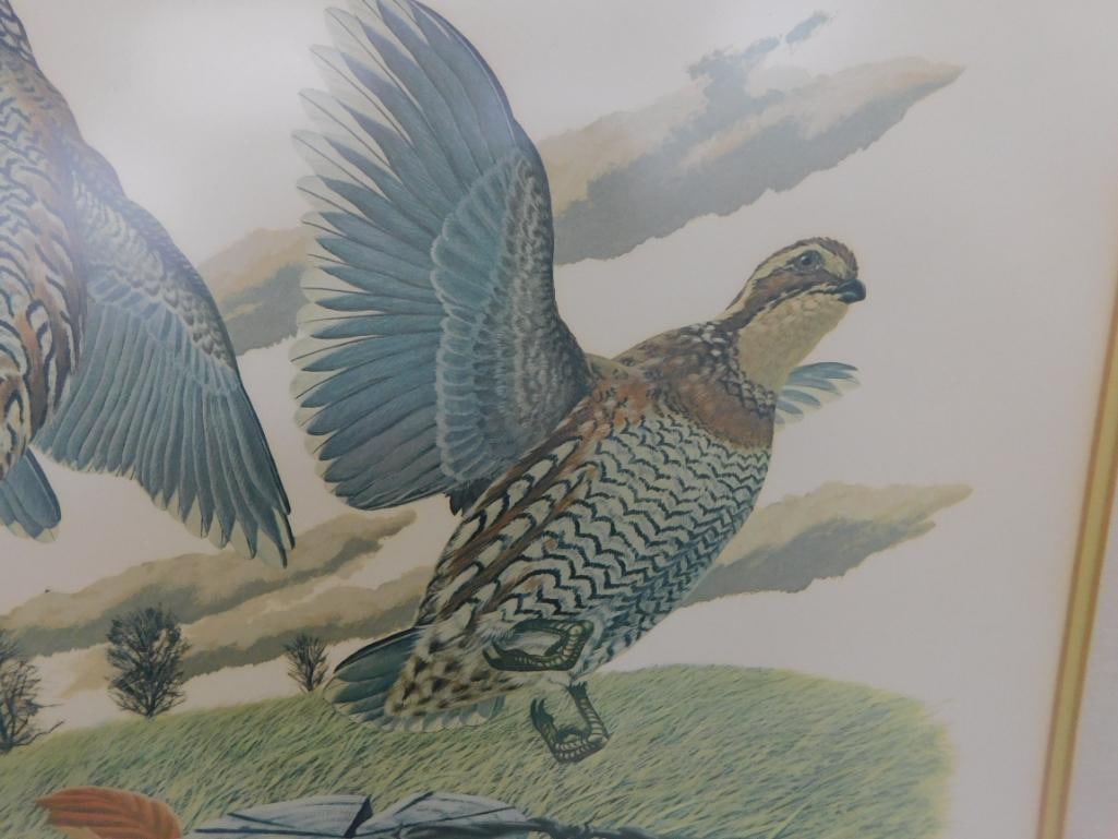 Signed Print - Richard Sloan - "Bobwhite" - 37" x 31.5" - 4