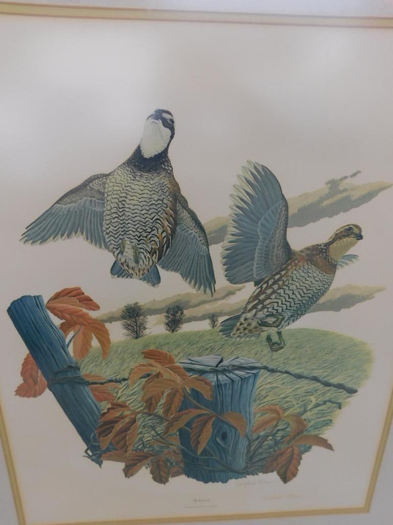 Signed Print - Richard Sloan - "Bobwhite" - 37" x 31.5" - 9