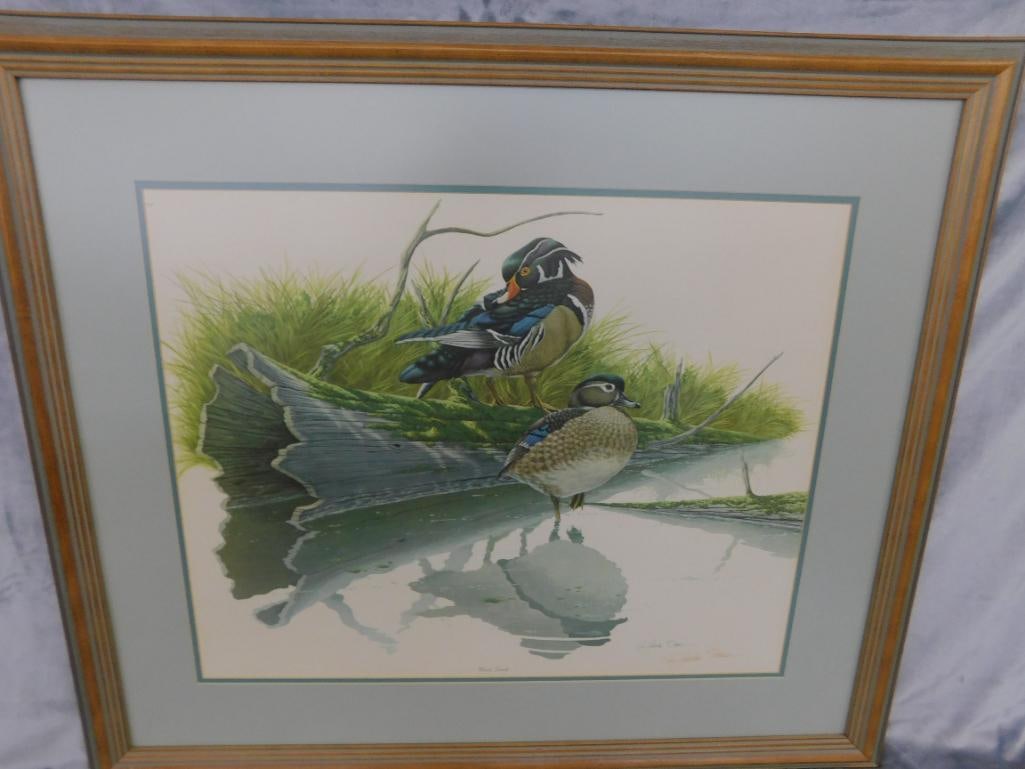 Signed Print - Richard Sloan - "Wood Duck" - 31.5" x 36.5" - 11