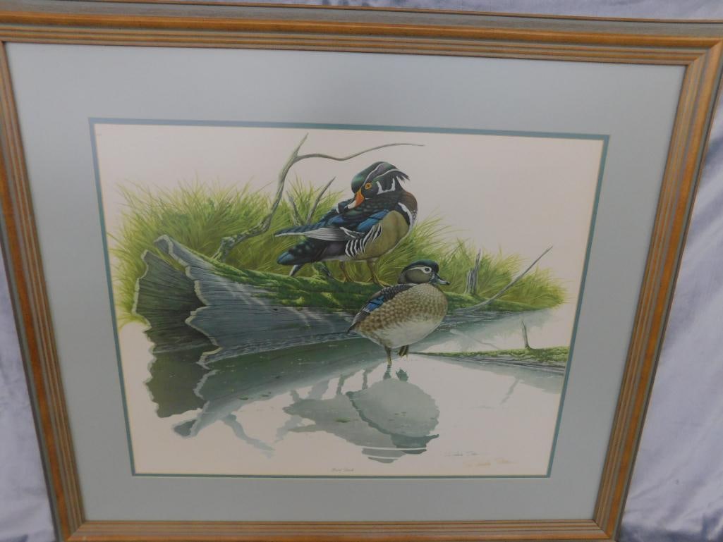 Signed Print - Richard Sloan - "Wood Duck" - 31.5" x 36.5" - 12