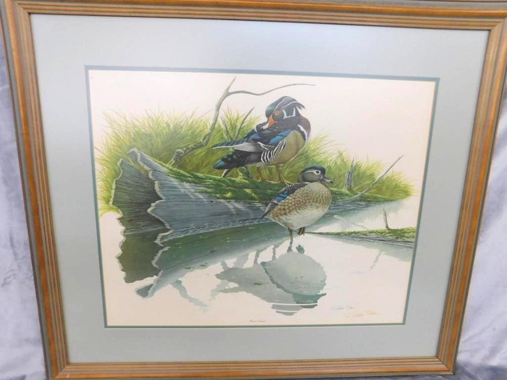 Signed Print - Richard Sloan - "Wood Duck" - 31.5" x 36.5": See Photos For Condition and Details