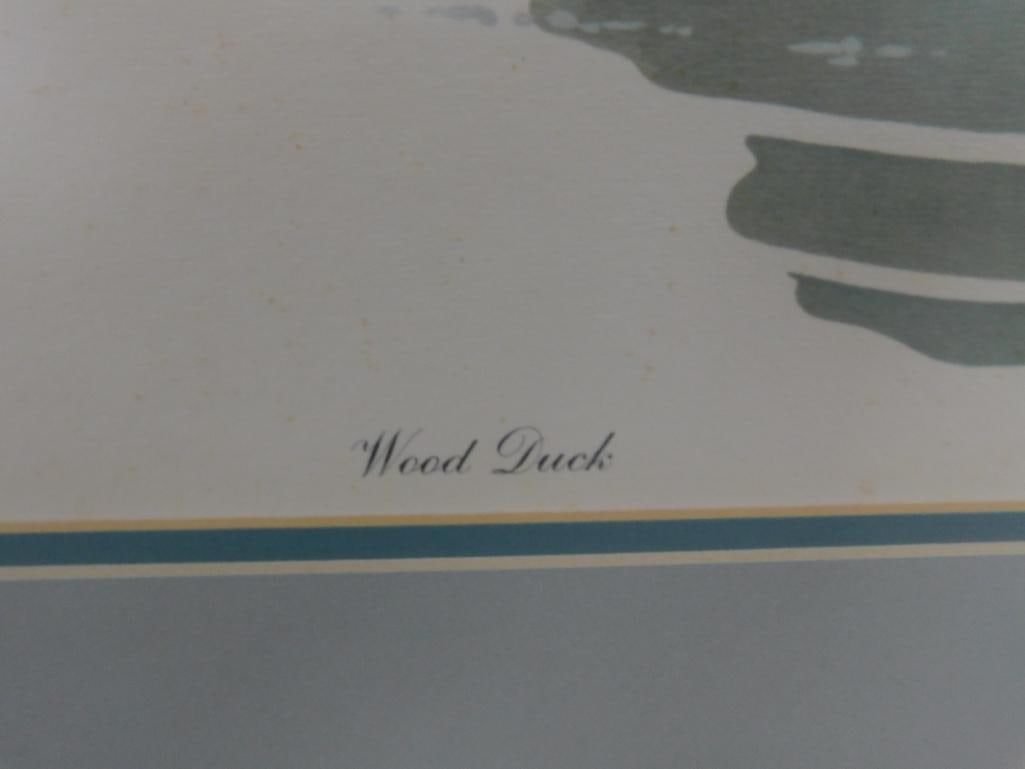 Signed Print - Richard Sloan - "Wood Duck" - 31.5" x 36.5" - 8