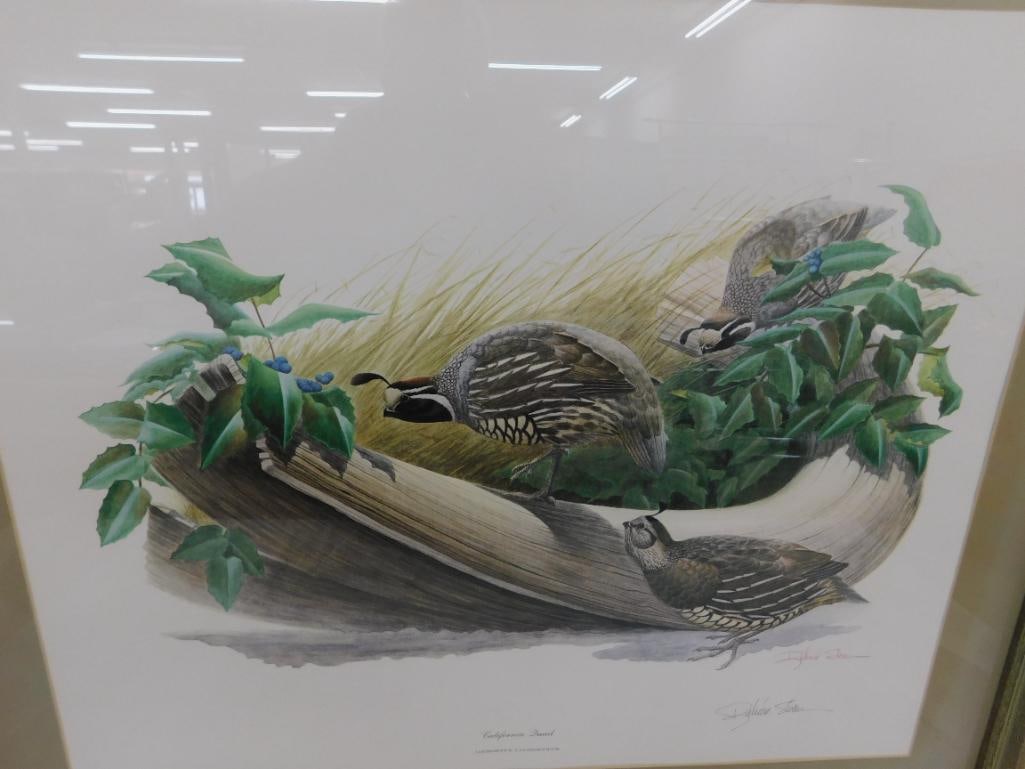 Signed Print - Richard Sloan - "California Quail" - 30" x 34" - 10