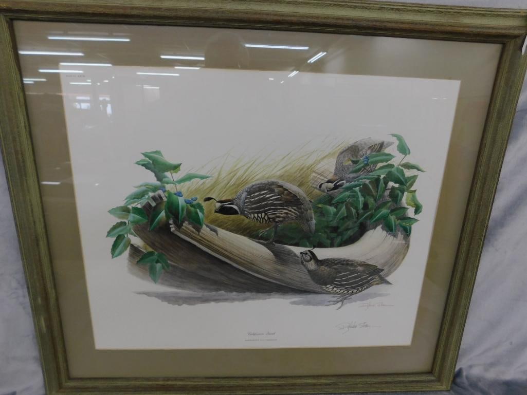 Signed Print - Richard Sloan - "California Quail" - 30" x 34" - 11