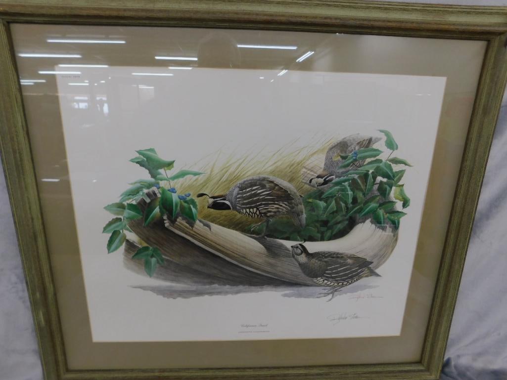 Signed Print - Richard Sloan - "California Quail" - 30" x 34" - 12