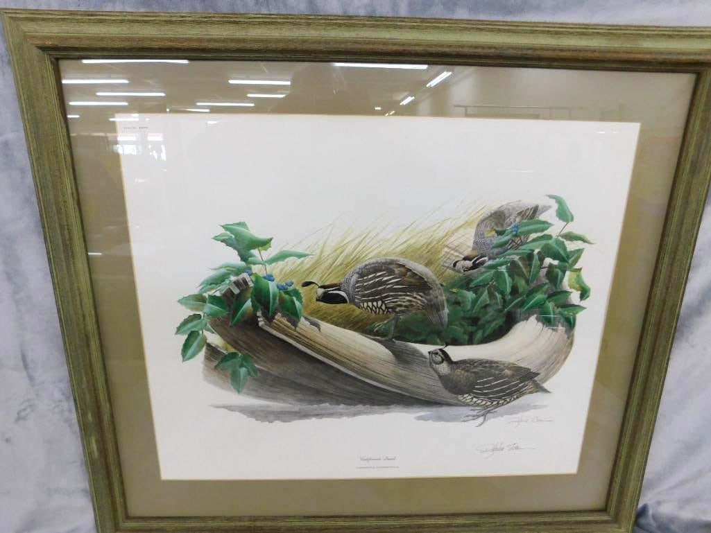 Signed Print - Richard Sloan - "California Quail" - 30" x 34": See Photos For Condition and Details