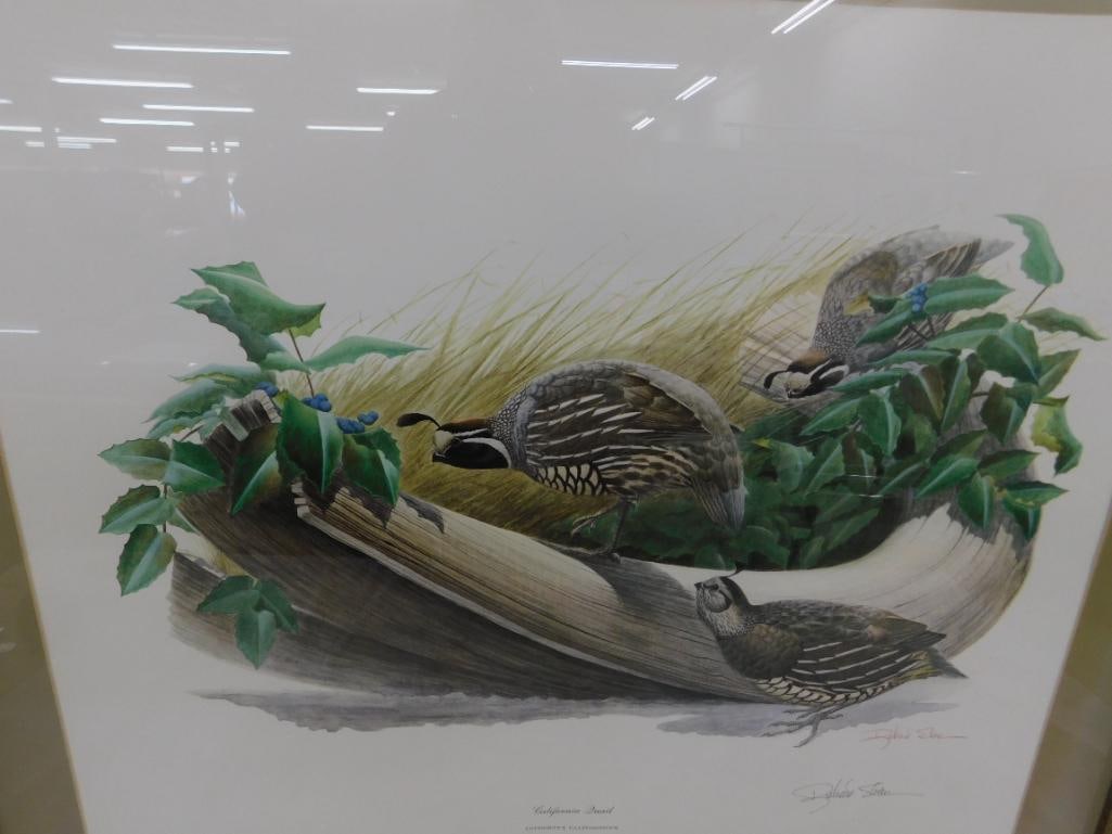 Signed Print - Richard Sloan - "California Quail" - 30" x 34" - 2