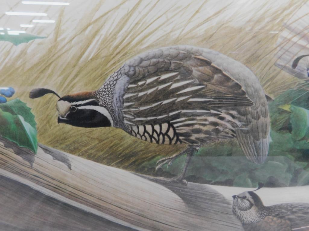 Signed Print - Richard Sloan - "California Quail" - 30" x 34" - 3