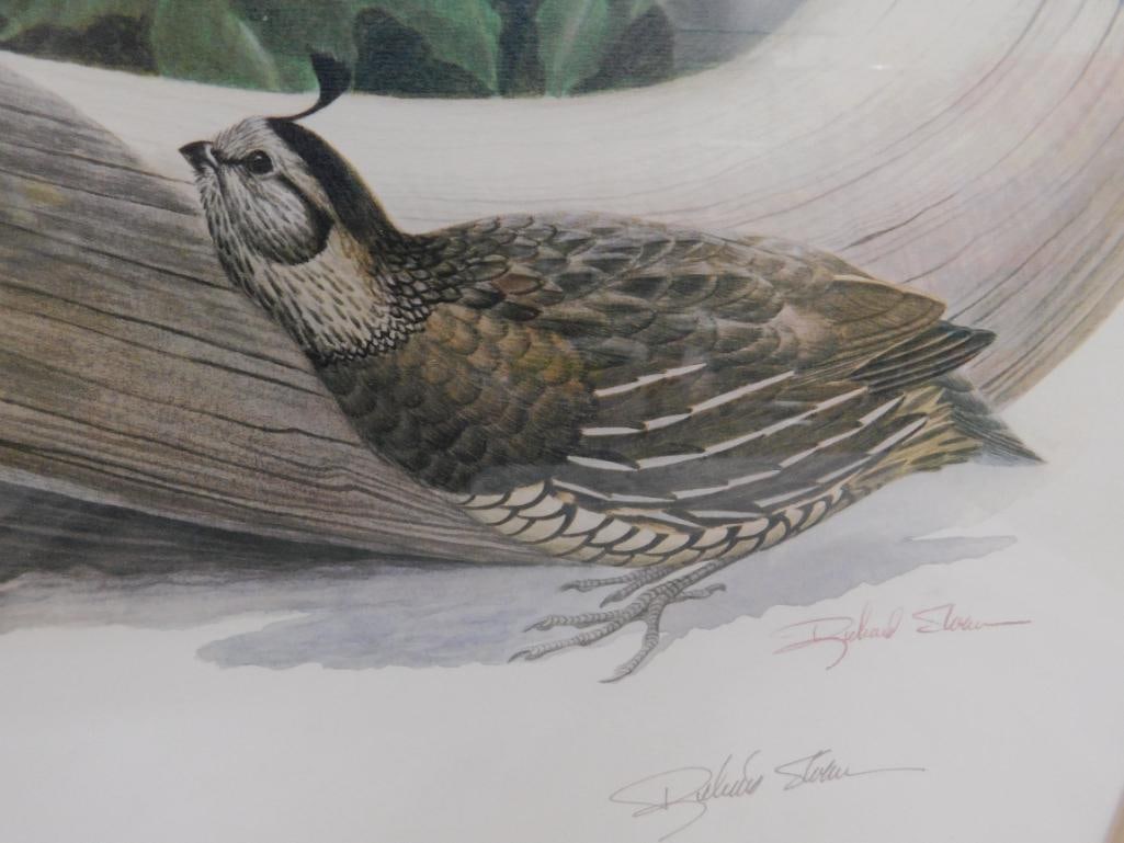 Signed Print - Richard Sloan - "California Quail" - 30" x 34" - 5